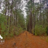 Clark Tract