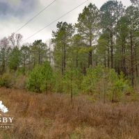 Clark Tract images 2