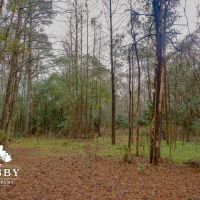 Clark Tract images 4