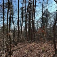 Slabtown Ridge images 1