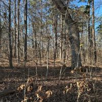Slabtown Ridge images 4