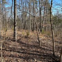 Slabtown Ridge images 5