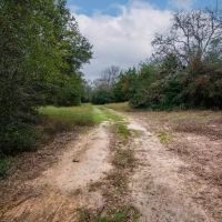 Mobile Home on Small Acreage with Pond images 5