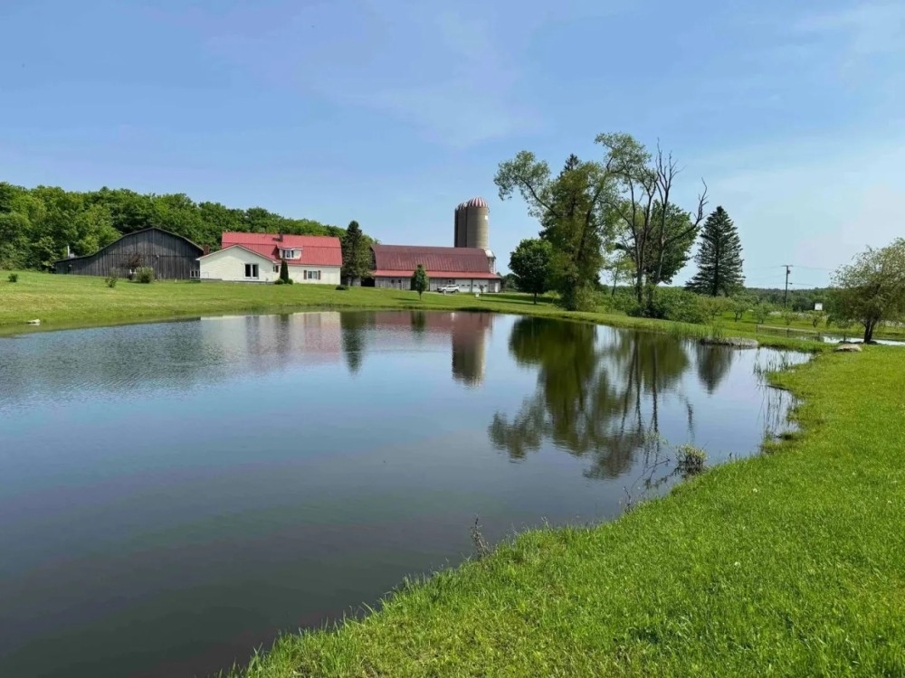 60 acres House Two Barns Heated Shop Ponds Orchard and FREE GAS in Dewittville NY 7057 Beech Hill Rd featured image