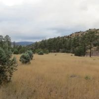 Grant County NM Gila National Forest Inholding Tracts
