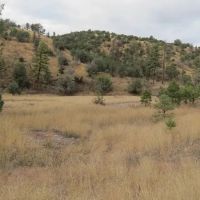 Grant County NM Gila National Forest Inholding Tracts images 2