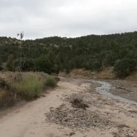 Grant County NM Gila National Forest Inholding Tracts images 3