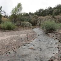 Grant County NM Gila National Forest Inholding Tracts images 5