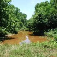 Harris - 304 ac - Perry County Hunting tract images 3