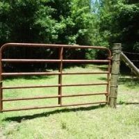 Harris - 304 ac - Perry County Hunting tract images 5