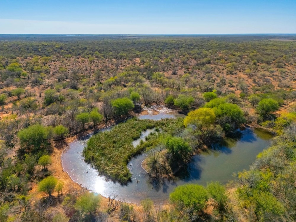 La Mojosa Ranch featured image