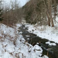 238 acres Creekfront Hunting Land Virgil NY