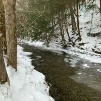 238 acres Creekfront Hunting Land Virgil NY images 2