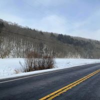 238 acres Creekfront Hunting Land Virgil NY images 3
