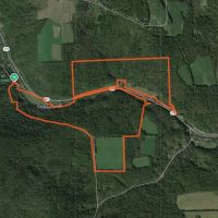 238 acres Creekfront Hunting Land Virgil NY images 5