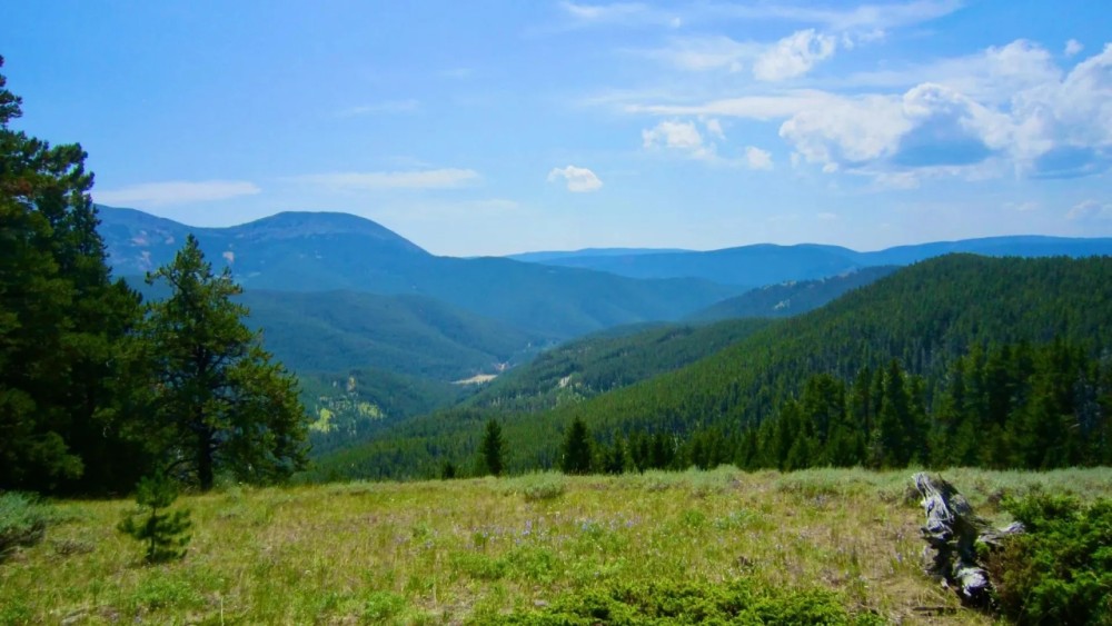 Prominent Pioneer Ridge Acreage featured image