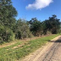 20 acres Weimar TX Colorado County images 3