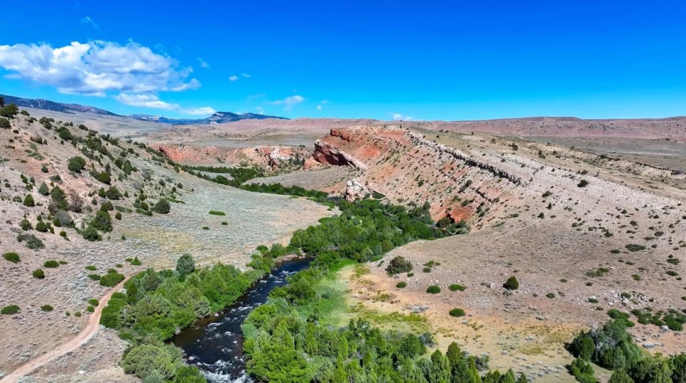 Little Windy Ranch featured image