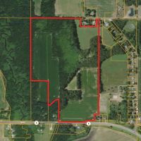 86.80 - LAPORTE COUNTY MILL CREEK HUNTNG RECREATIONAL BUILDING SITE LAND FOR SALE images 3