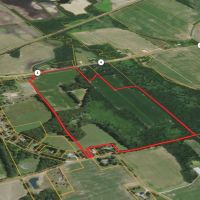 86.80 - LAPORTE COUNTY MILL CREEK HUNTNG RECREATIONAL BUILDING SITE LAND FOR SALE images 4