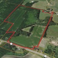 86.80 - LAPORTE COUNTY MILL CREEK HUNTNG RECREATIONAL BUILDING SITE LAND FOR SALE images 5