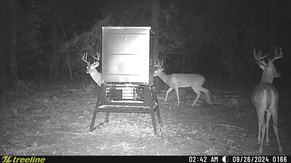 5205 FM 279 Ben Wheeler featured image