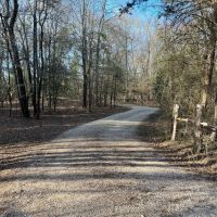 Ben Wheeler TX Ranch Hunting Land for Sale East of Dallas images 2