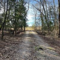 Ben Wheeler TX Ranch Hunting Land for Sale East of Dallas images 3