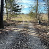 Ben Wheeler TX Ranch Hunting Land for Sale East of Dallas images 4