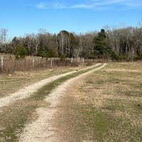 Ben Wheeler TX Ranch Hunting Land for Sale East of Dallas images 5
