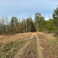 Privacy Abounds on This 2 - Acres images 3