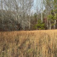 Privacy Abounds on This 2 - Acres images 5