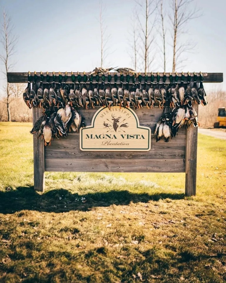 One Equity Share at Magna Vista LLC in Issaquena County MS featured image