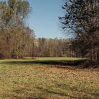 One Equity Share at Magna Vista LLC in Issaquena County MS images 2