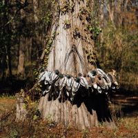One Equity Share at Magna Vista LLC in Issaquena County MS images 3