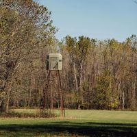 One Equity Share at Magna Vista LLC in Issaquena County MS images 4