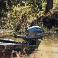 One Equity Share at Magna Vista LLC in Issaquena County MS images 5