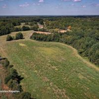 Rural Acreage and Homesite in Davie County NC images 3