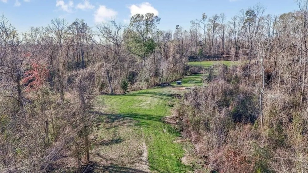 Hunting Land for Sale in The MS Delta featured image