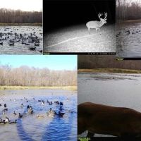 Hunting Land for Sale in The MS Delta images 3