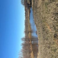 90 Acres of Prime Land with Endless Possibilities images 3