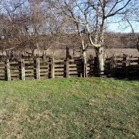 90 Acres of Prime Land with Endless Possibilities images 4