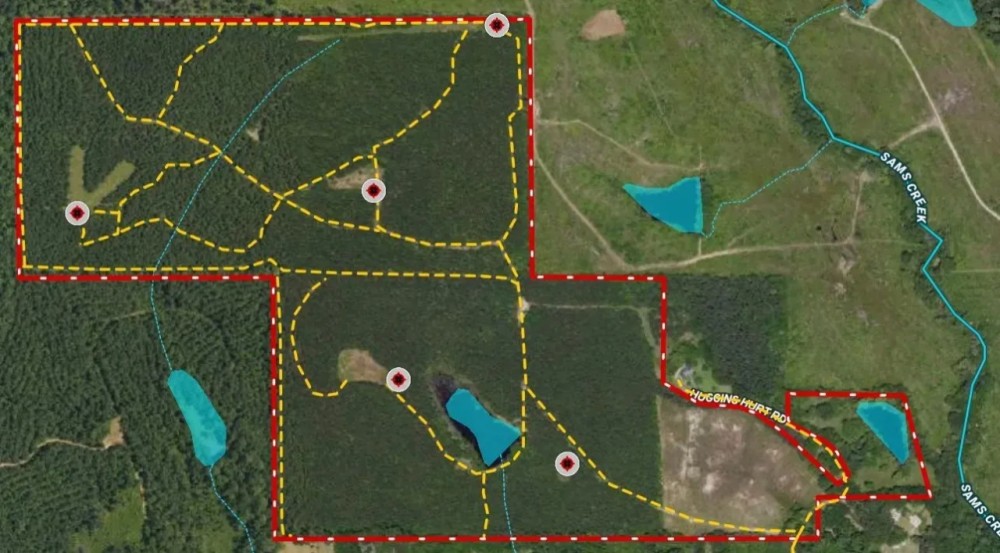 Kirkham 160 - acre Hunting Timber Tract featured image