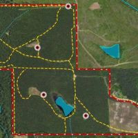 Kirkham 160 - acre Hunting Timber Tract