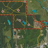 Kirkham 160 - acre Hunting Timber Tract images 2