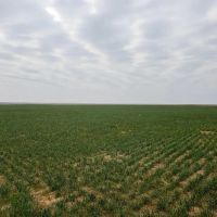 6332 Acre Fry Farm Oklahoma - Price Reduced images 2