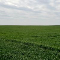 6332 Acre Fry Farm Oklahoma - Price Reduced images 5