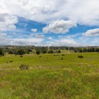 Trophy Whitetail and Cattle Ranch Outside Evant Texas images 4