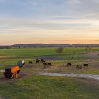 Trophy Whitetail and Cattle Ranch Outside Evant Texas images 5