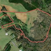 73.3 acres of Recreational Farm and Hunting Land For Sale in Henry Pittsylvania County VA